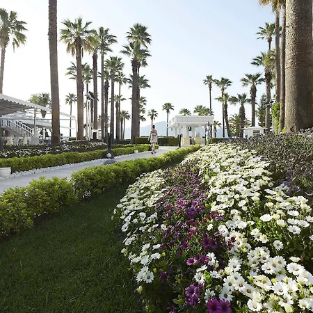 Ideal Prime Ultra ホテル